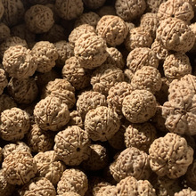 盘串大金刚念珠佛珠手串菩提手串男大金刚菩提蜂文玩原籽散肉