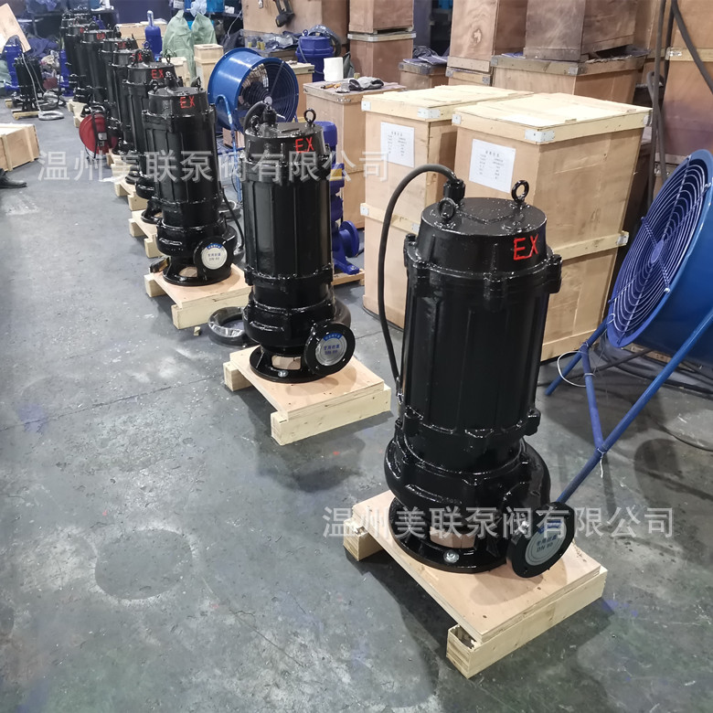 100QWB100-30-15防爆潜水泵 防爆潜水排污泵BT4/CT4