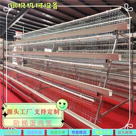 专业生产销售鸡笼 阶梯式多层养殖蛋鸡笼 三层四层多门可绿白食槽