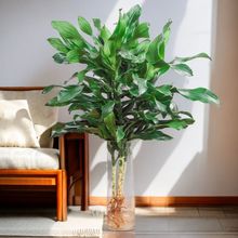 ��ؔ�ݼy�F���F��ֲ��G�}�͏dˮ���ļ����໨�܃����҃����Կ՚�