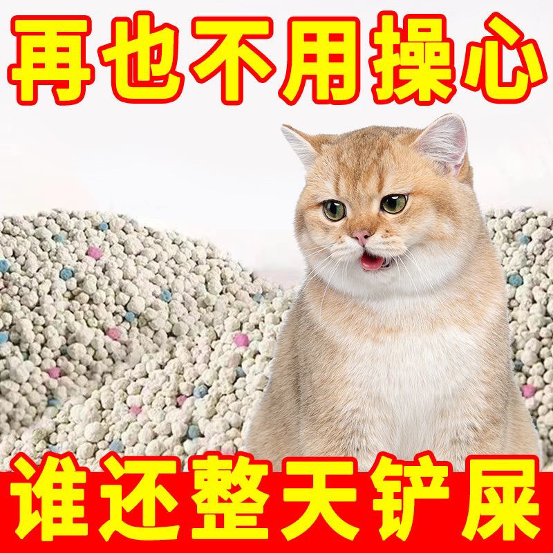 742d76bf-1c02-415f-82f5-7ad809f94944.jpe