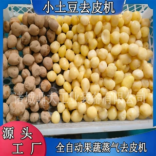 土豆红薯蒸汽去皮一体机 清洗去皮分选一步完成 操作简便