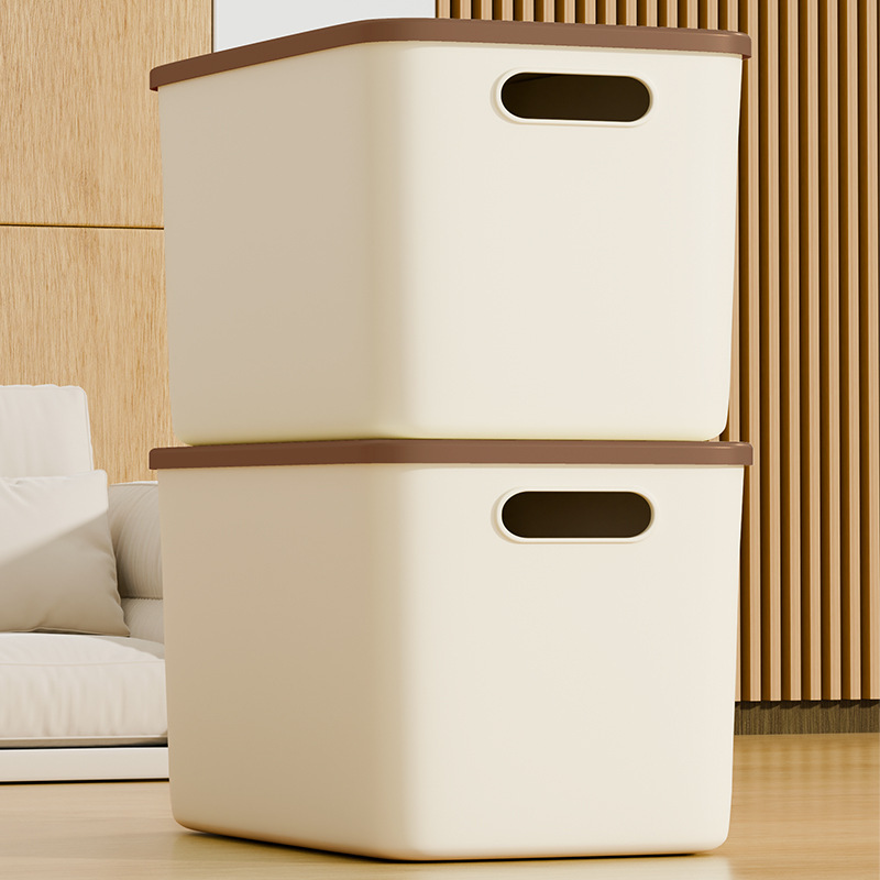 Storage Box with Lid, Miscellaneous Items and Toys Organizer, Household Storage Box, Desktop Storage Box, Plastic Storage Box
