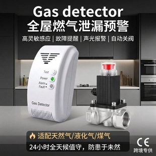 �羳���� ȼ��й©������Ȼ��Һ����̽�y����ȼ���w����