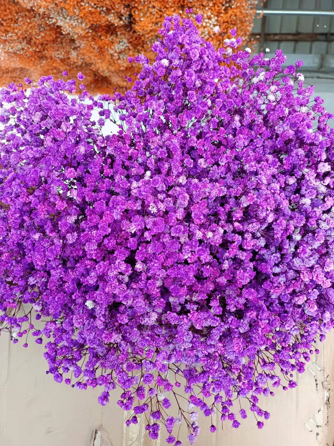 微信图片_20220209094022