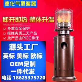 燃气取暖器液化气烤火炉煤气室内取暖炉节能商用户外家用移动暖气