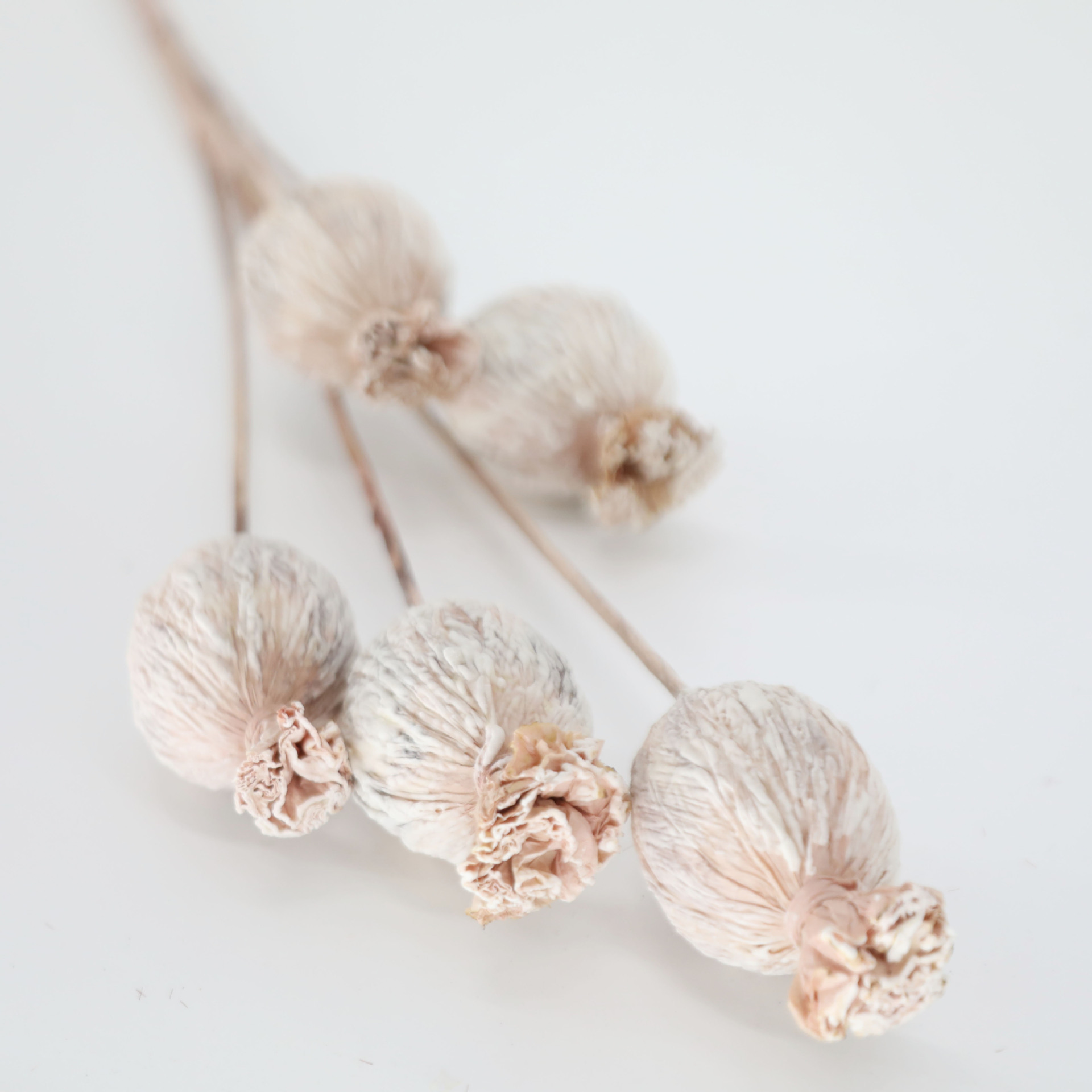 Flor de EVA PE falso patrón de decoración floral floral suelo floral flor seca floral suave floral espuma flor fotografía de boda
