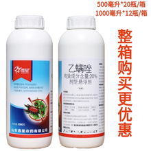 ���Լt֩�댣��ș20%���\���\�������߲˼t֩����S�\��֬��