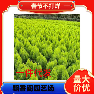 һ�����l����ؘ���ǧ�^���ӌO������ֲ�������������؂Ȱؙu����