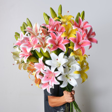 �¿���滨3�^2�ٴ�ٺ� 3D��ӡ�zƬ�ٺϻ� ��Y��ܛ�b�b� ���Q