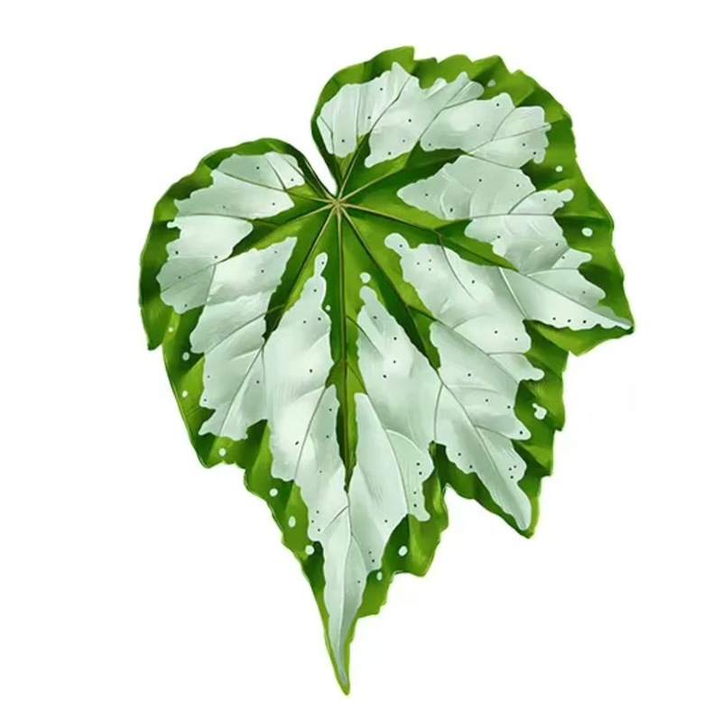 植物の魔法】熱帯の珍しい植物のアイデアの緑の植物の冷蔵庫は緑の植物の装飾の植物のシリーズの冷蔵庫を貼って貼ります。|undefined