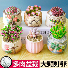 ����ֲ��M���҃�С������¶�ҵ����մɻ������Ϙ�������Gֲ����