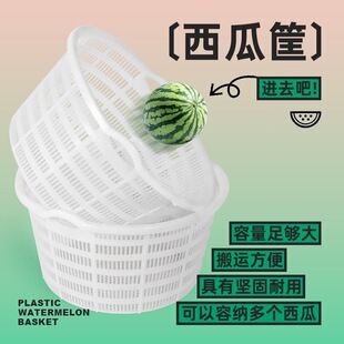 ���Ͽ�Ӻ�j�j��ˮ�������ψA���߲˿����ռ{���b��̖