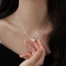 �s925���y��������J���K��Ů�p��2025�±���߼����i����i�