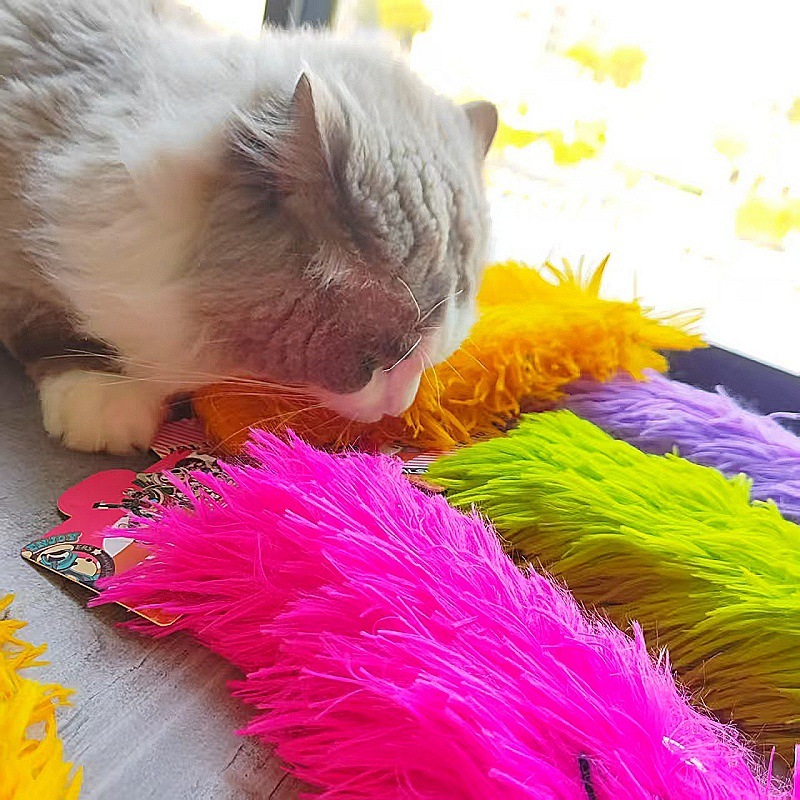 新しいタイプの猫のおもちゃの小さい怪獣は抱っこして音を立てます。|undefined