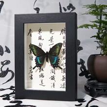 �G�����P�������˱��ֹ�diy�ɔ[�ɒ�����Ů�������նY�����x�˱�