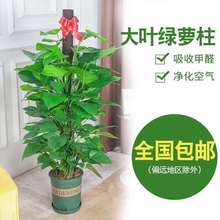 �G�}�������҃�ֲ���k���ҿ͏d����ȩ�Gֲ���~����w�_�I�辰