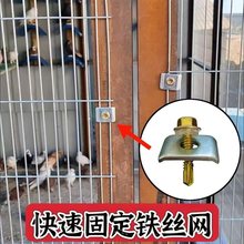 ˿̶ƬƬпC͸ֿ۵ֳcι̶