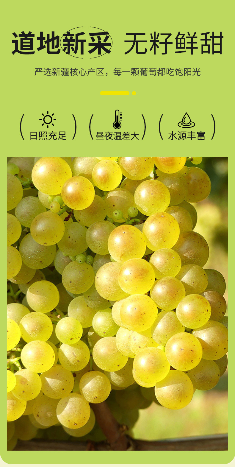 Seedless Green Raisins 250g Jar Xinjiang Turpan Dried Fruit Ready to Eat quality and texture