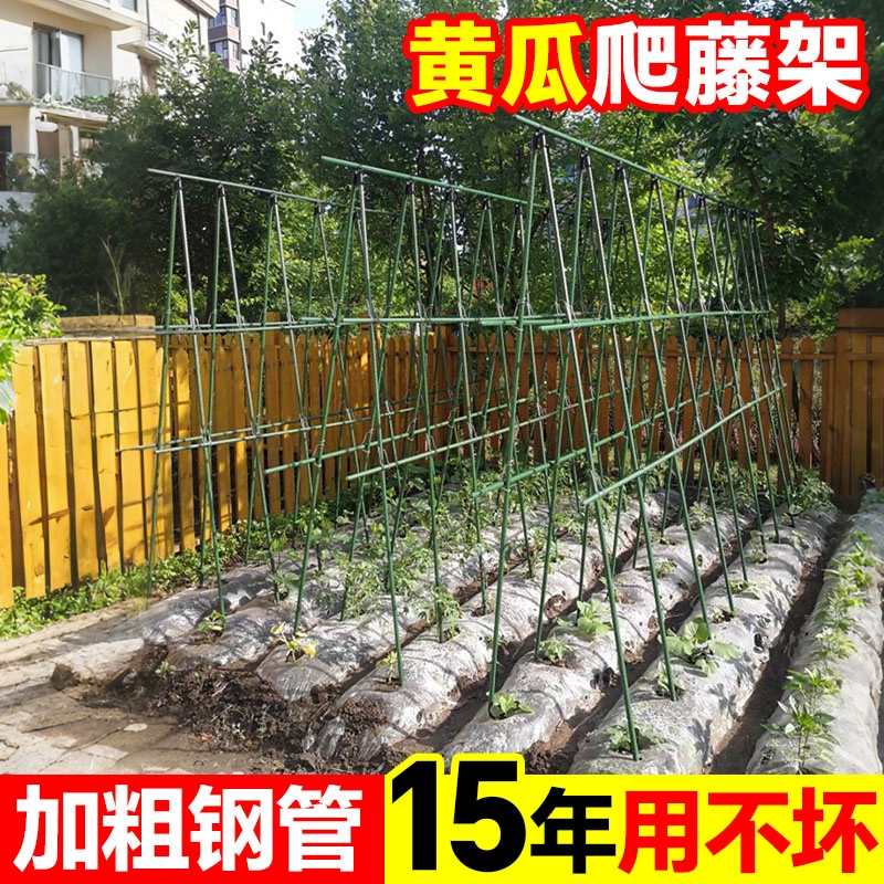 Каркас для подъема огурцов, решетка для бобов, опорный стержень для помидоров, каркас для выращивания овощей, каркас для посадки винограда во дворе.
