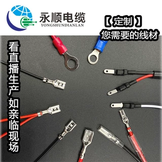 187/250端子线加工电机线 线束定制4.8/6.3插簧端子线110/2.8线