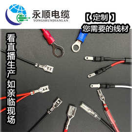 187/250端子线加工电机线 线束定制4.8/6.3插簧端子线110/2.8线