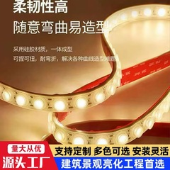 24v柔性洗墙led灯带可弯曲户外防水工程亮化桥梁酒店楼体广告招牌