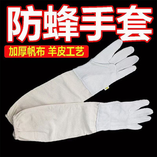 �B��ڱ����o���� ������Ƥ���������ز��|�B�����ף����س����V
