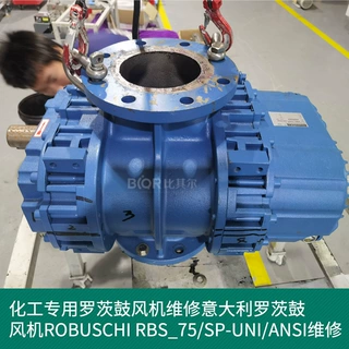 ROBUSCHI 意大利罗茨鼓风机RBS75SPUNIANSI维修保养