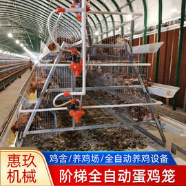 鸡舍畜牧养殖全自动多层阶梯式蛋鸡笼子热镀锌材质蛋鸡用养殖笼