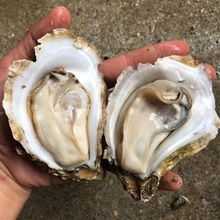 տ������r��һ�伴ʳ10���ش�̖����ĵϠ���������r������l����