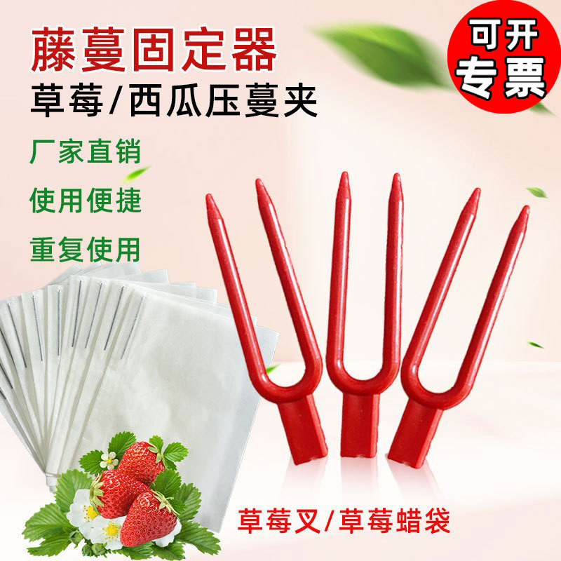 批发草莓种植叉，园艺压蔓器，草莓压蔓器，藤蔓固定叉，草莓袋子