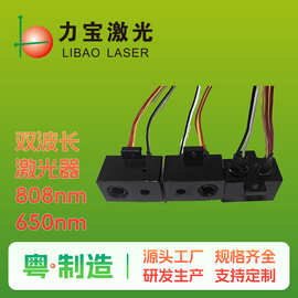 双波长红外激光发射器808nm650nm安防监控激光头感应激光红外对射