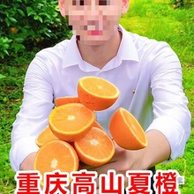 高山夏橙应当季孕妇水果正宗新鲜橙子秭归现摘果冻冰糖甜酸橙包邮