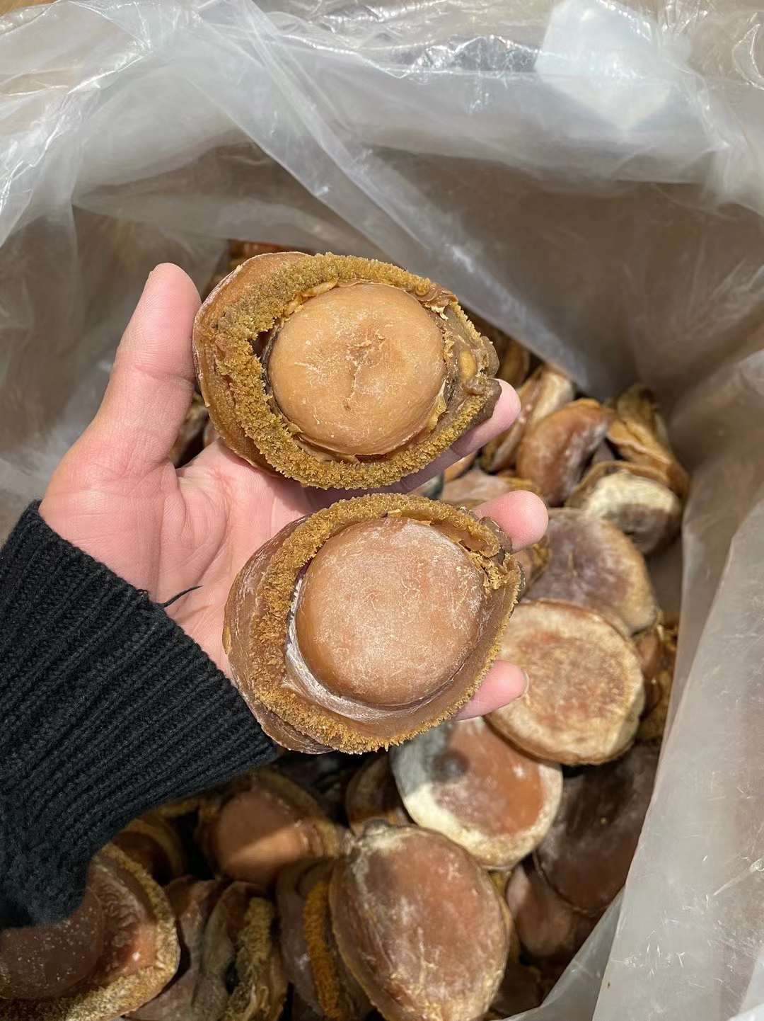 7f223e7c3b26d7c4e984626eb9aca2