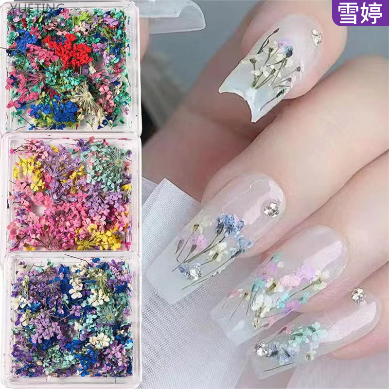 Cross-border New Nail Art Dried Flower Japanese Style Ins Mixed Real Flower Gestalus Small Floral Boxed Jewelry Nail Dried Flower Cross-border New Nail Art Dried Flower Japanese Style Ins Mixed Real Flower Gestalus Small Floral Boxed Jewelry Nail Dried Flower