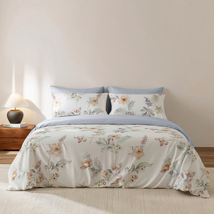 �ļ�ȫ��ح26����|�r����@�L����60֧300TC�L�q���ļ��� ������