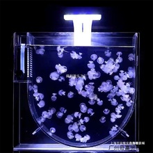 创业摆地摊缸养水母全套智能循环水母缸摆摊养殖缸网红灯樱桃