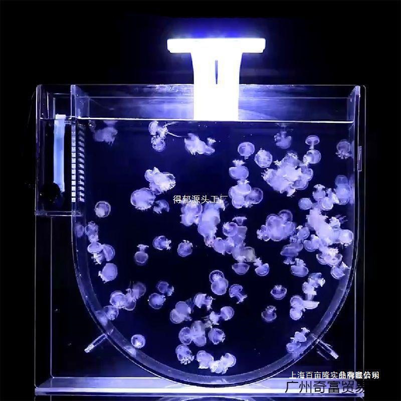 创业摆地摊缸养水母全套智能循环水母缸摆摊养殖缸网红灯樱桃