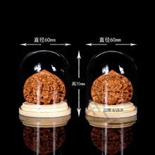 ������������Һ��J�ϙ�˵�΢���^չʾ͸��Molly������