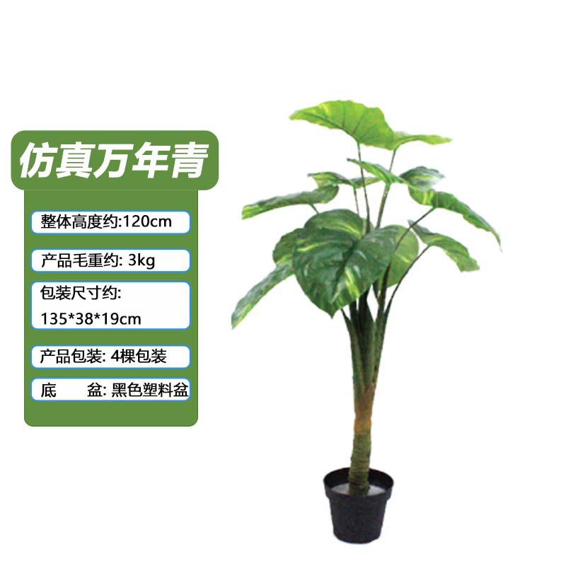 Simulación Evergreen Planta verde en maceta Oficina Sala de estar Decoración del hogar Varilla de plástico Simulación artificial Evergreen maceta