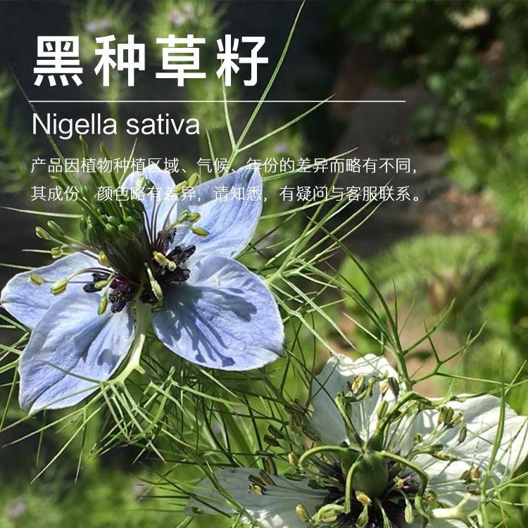 ���ҹ����ֲ����� ��ե��ե ���ֲ���  �����ͳ������� ��ӭ�ɹ�