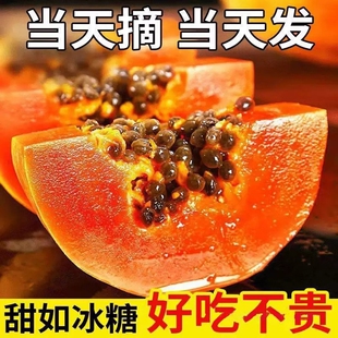 �V�����rľ��ˮ���t��ľ�Ϯ��������ЋD������������Ȼ�L���l���l