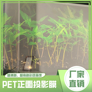 Commercial Showroom Transparent Adhesive Holographic Front Projection Film Supports 180 ° Projection High Color Reproduction
