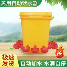 鸡用自动饮水器鸡鸭鹅饮水碗喝水碗鹌鹑家禽饮水器雏鸡鸭鸟饮水器