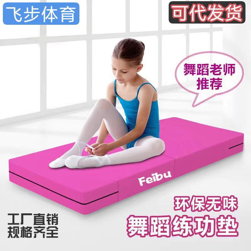 New Style Dance Mat Practice Mat Leather Household Women's Folding Skills Children's Basic Skills Auxiliary Tool Thickened Body