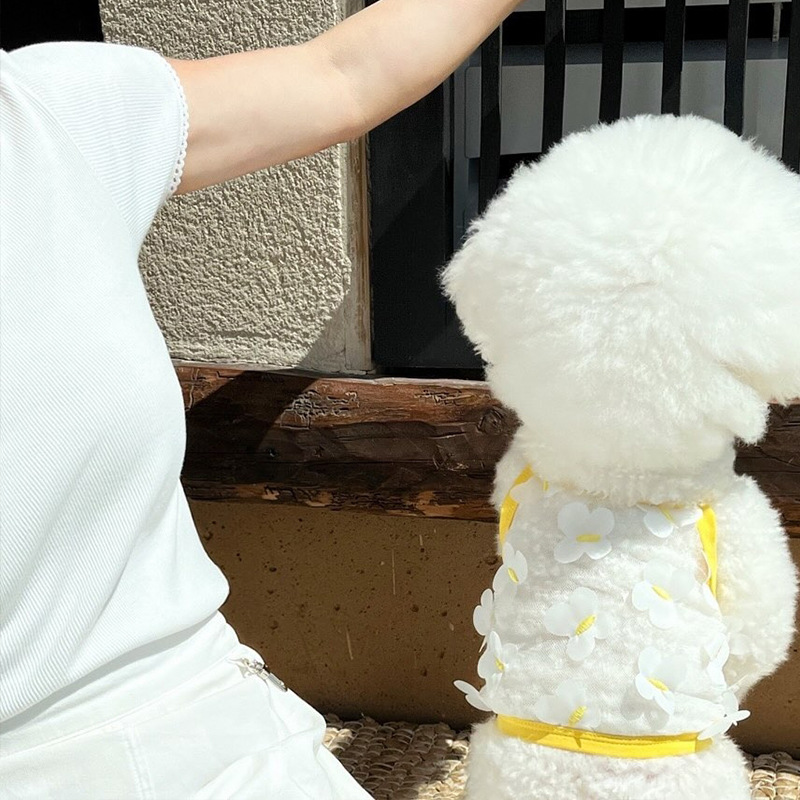 Primavera y verano perros delgados transpirables mariposa tridimensional malla transpirable sonrisa cara cabra pequeña ropa de mascotas perros gatos