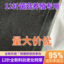 ��ɫ������ܼӺ�12���ꖾW���ܘ�ľ�����Bֳ���÷��ϻ���ꎾW