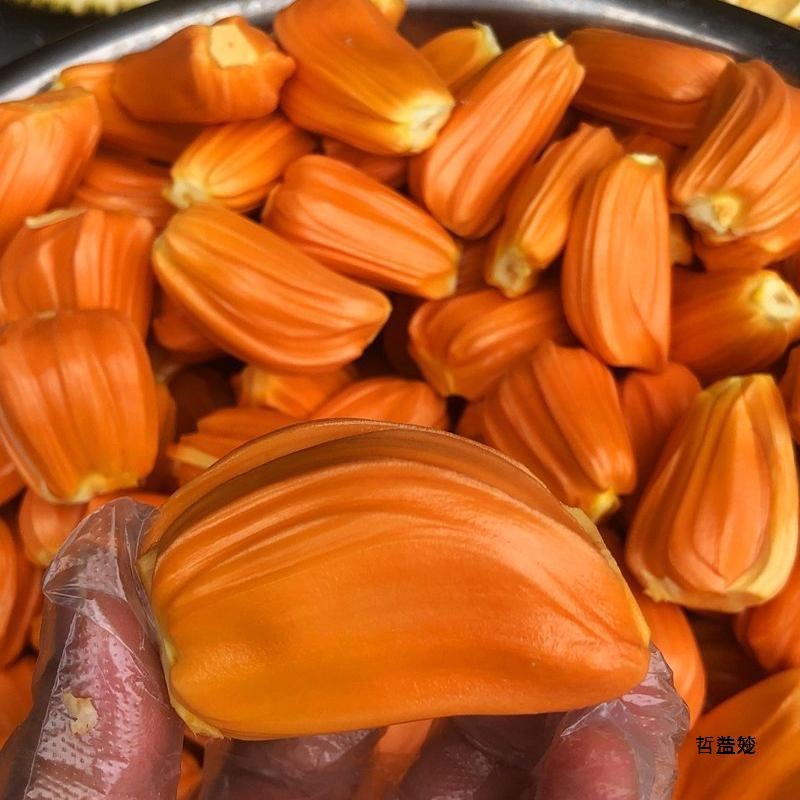 Indonesian Red Meat Jackfruit Fresh Season Dry Bud Crispy Sweet Red Ruby Jackfruit Whole SF Express Free Shipping