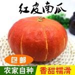海南红皮南瓜 贝贝万圣节金倭瓜 山东红南瓜 软糯香甜板栗味 蔬批
